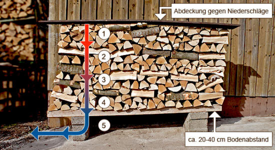 richtige-brennholz-lagerung